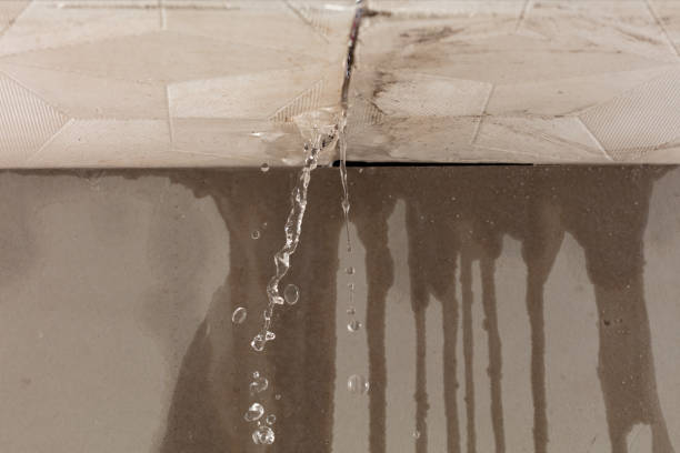 Professional Structural Drying technician working in New Boston, OH